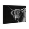 Stupell Industries Scottish Highland Cattle Canvas, design by Crystal Lynn Collins